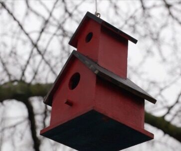 Roger's birdhouse