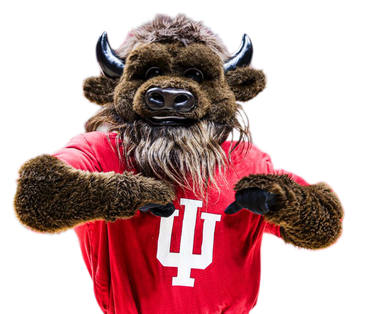 Hoosier Bison