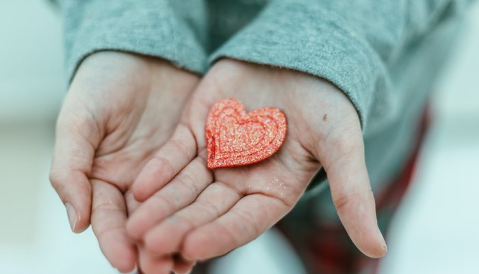 child hand holding red heart child hand holding red heart