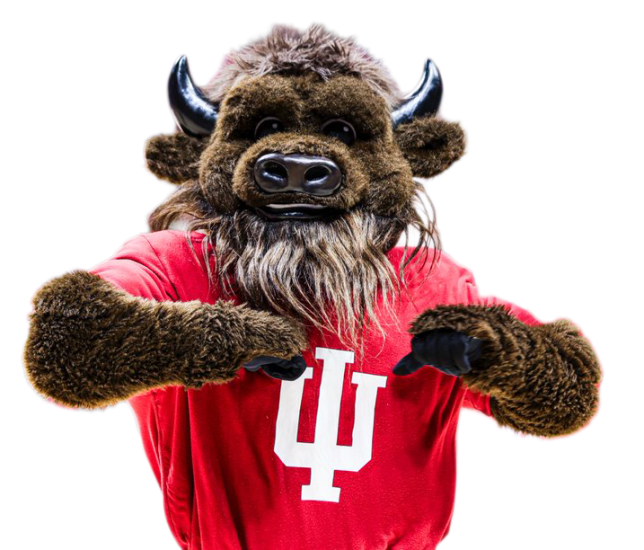 Hoosier Bison